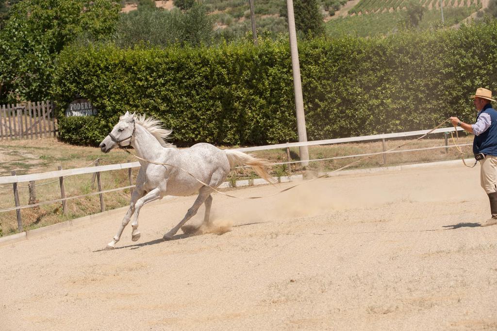 Podere Il Poggiolo Pontassieve Luaran gambar