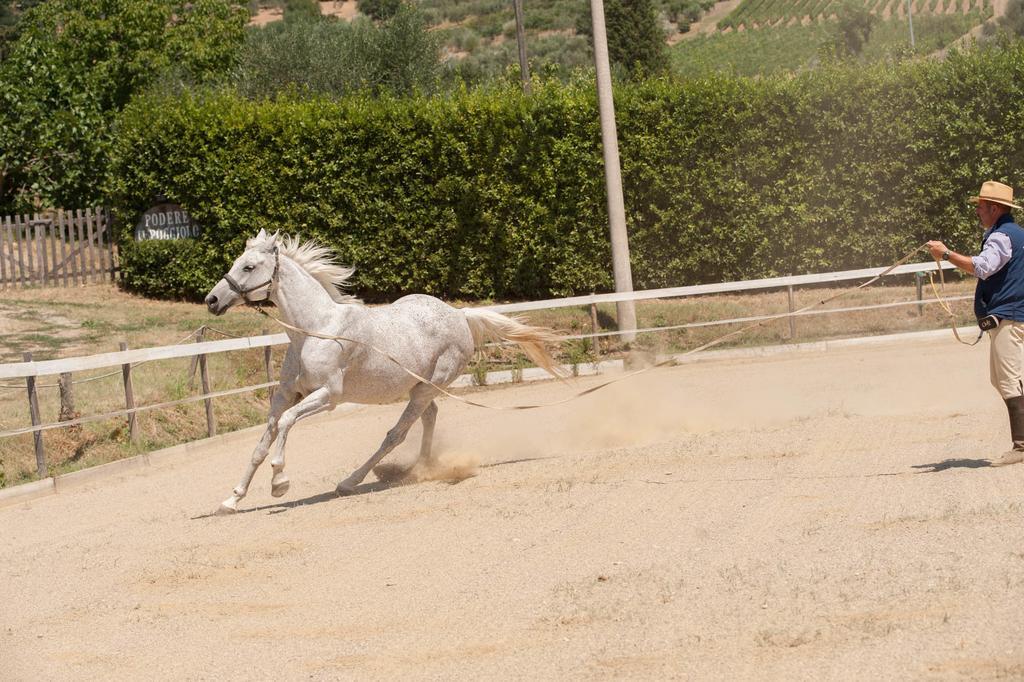 Podere Il Poggiolo Villa Rufina Luaran gambar