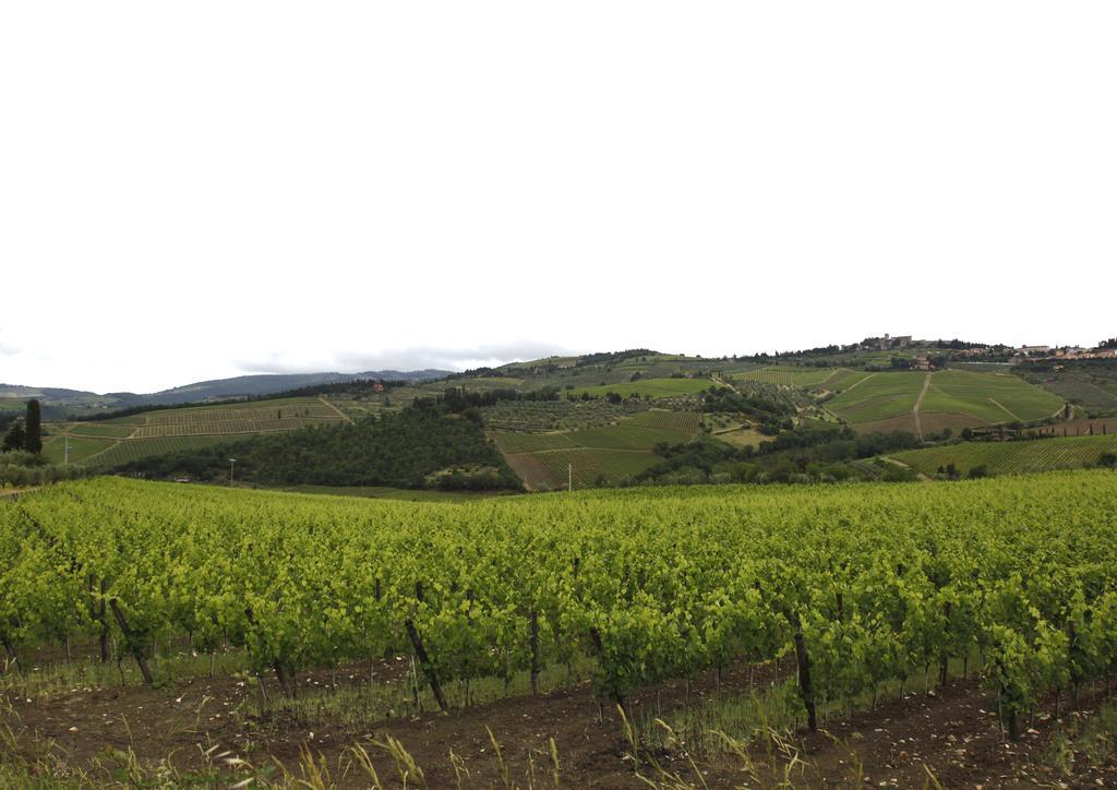 Podere Il Poggiolo Pontassieve Luaran gambar